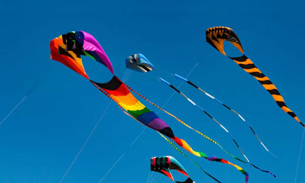 International Kite Festival Tour Package