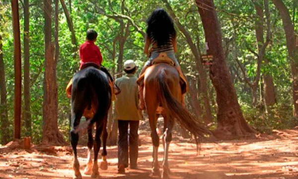 Rajasthan Horse Safari Tour