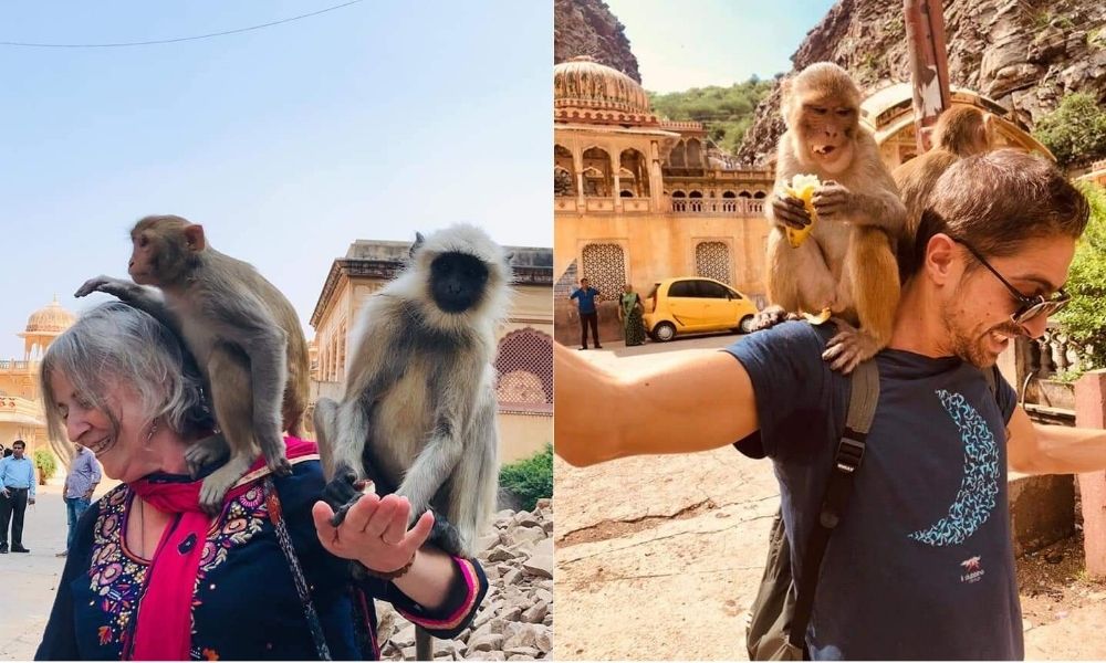 Enjoying in Rajasthan with Monkey