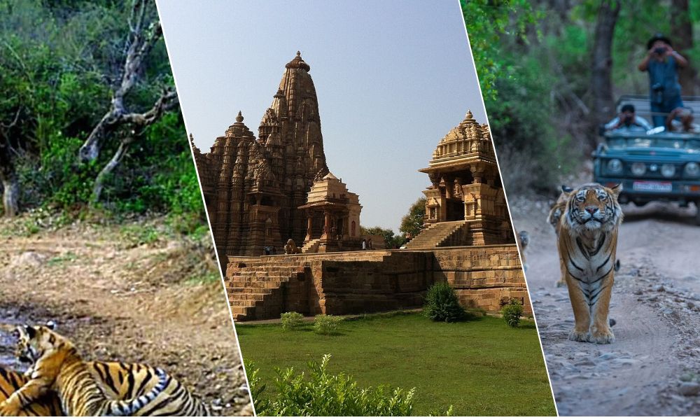 Khajuraho and Tiger Tour