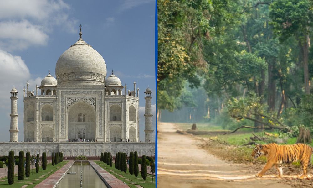 Taj Mahal and Tiger Tour