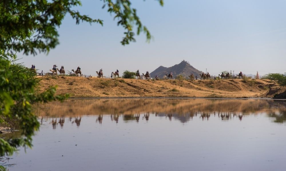 Golden Temple with Rajasthan