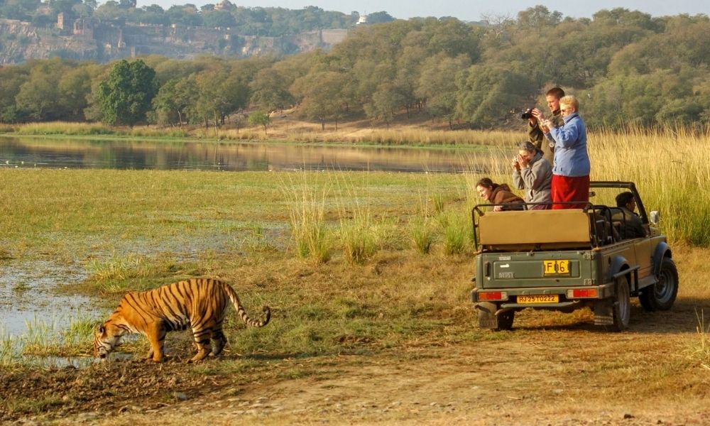 Rajasthan Tour with Ranthambore from Bangalore