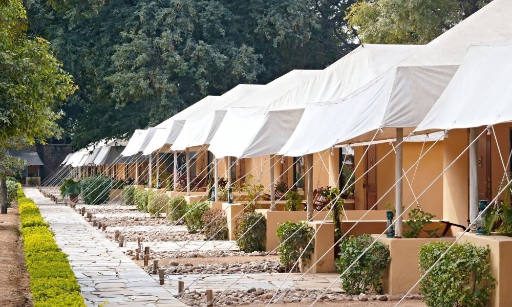 Rajasthan Family Tour Package